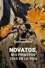 Novatos, mis primeros días en la vida