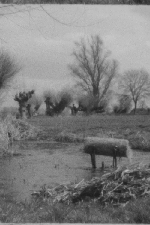 Landscape as Landscape 15