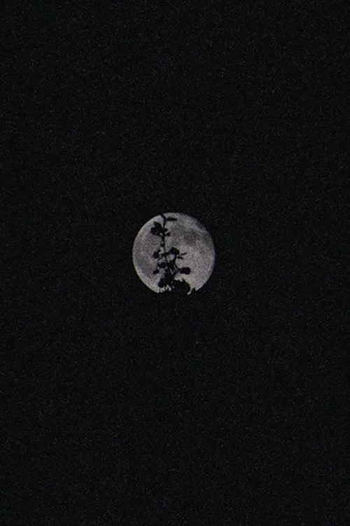 Lunar Visions II