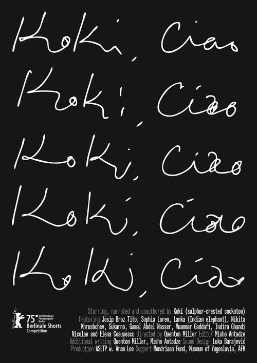 Кокі, чао!