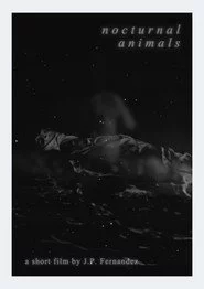 Nocturnal Animals