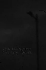 Two Lampposts, Overcast Sunset, 7.58pm-8.34pm Tues 17th Feb 2025