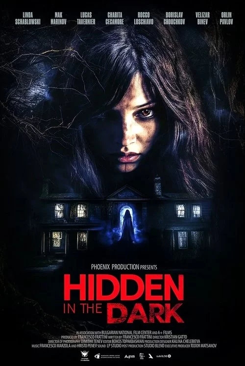 Hidden in the Dark