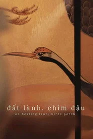 On Healing Land, Birds Perch