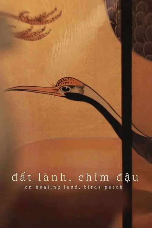On Healing Land, Birds Perch