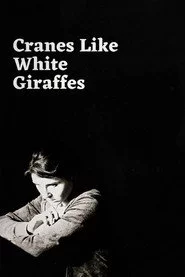 Cranes Like White Giraffes