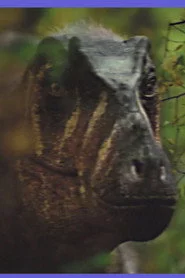 Paleontology Club Promo