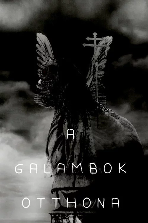 A galambok otthona