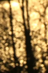 En traversée