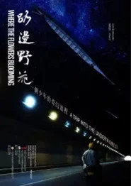 路边野花