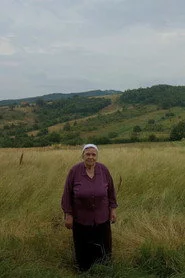 Qishtu u kanë jeta