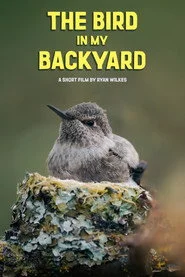 The Bird in My Backyard