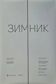 Зимник