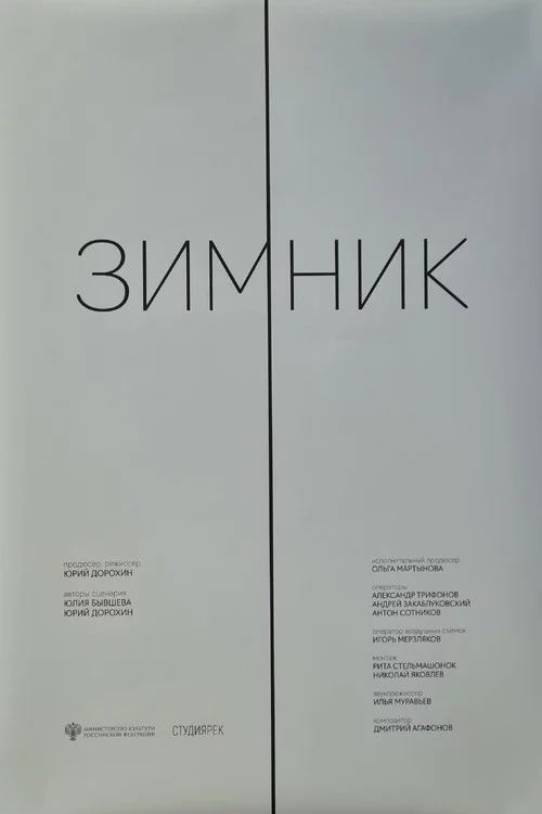 Зимник