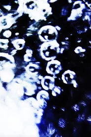 2025.03.17