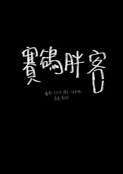 賽鴿胖客