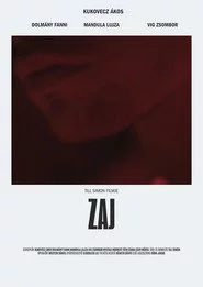 Zaj
