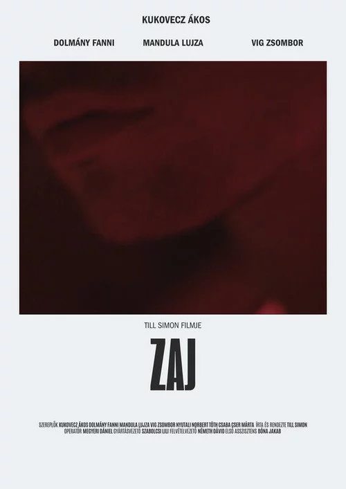 Zaj