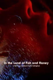 In The Land of Fish and Honey