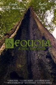Sequoia