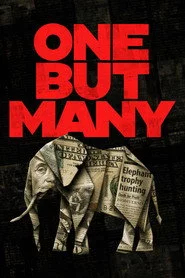 One But Many