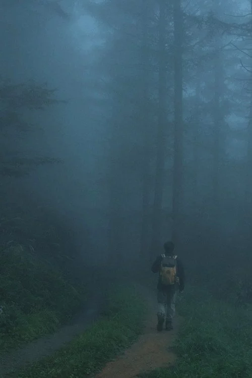 부자산행