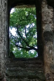 Les ruines du château de Seyssuel