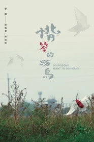 揹笭的粉鳥