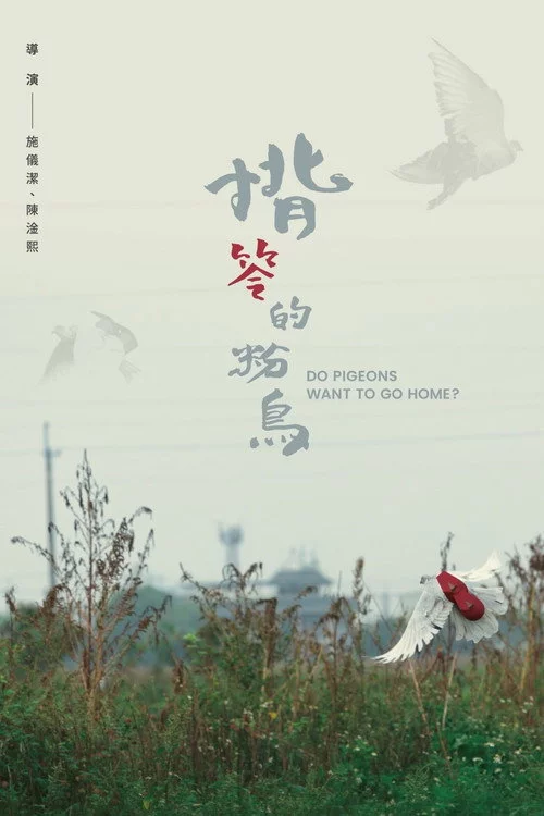 揹笭的粉鳥