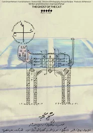 شبح گربه