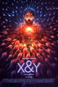X & Y