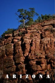 Arizona