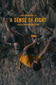 A Sense of Fight