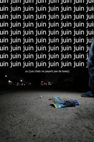 Juin ou  (Les chats ne payent pas de taxes)