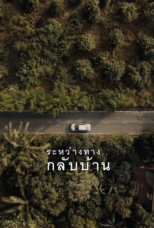 ระหว่างทาง..กลับบ้าน