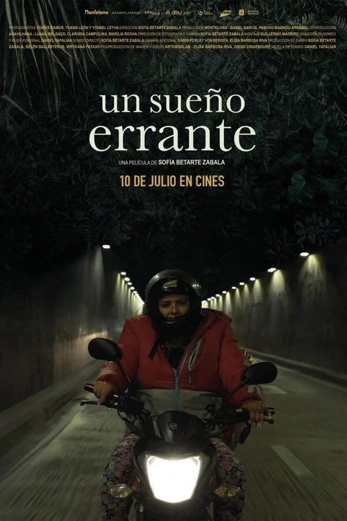 Un sueño errante
