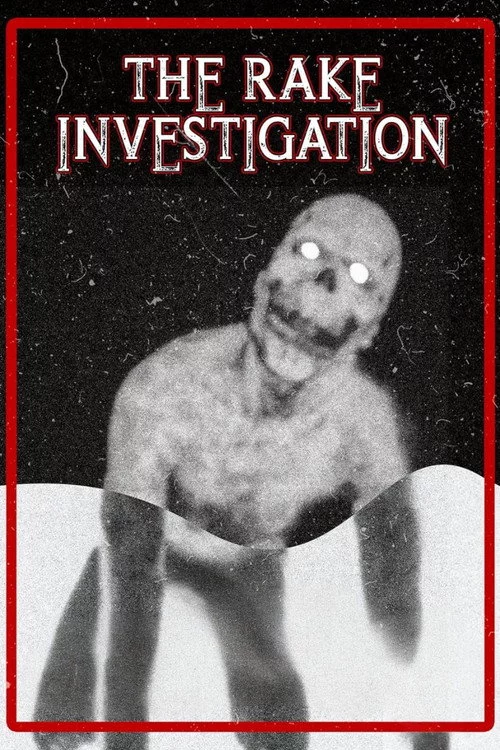 The Rake Investigation