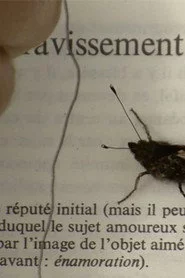 L’amour sur le chemin des roncettes