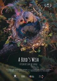 A Bird's Wish