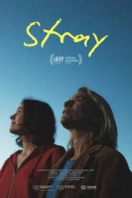 Stray