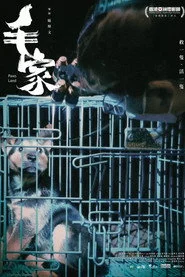 毛家