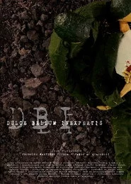 Dulce Bellum Inexpertis
