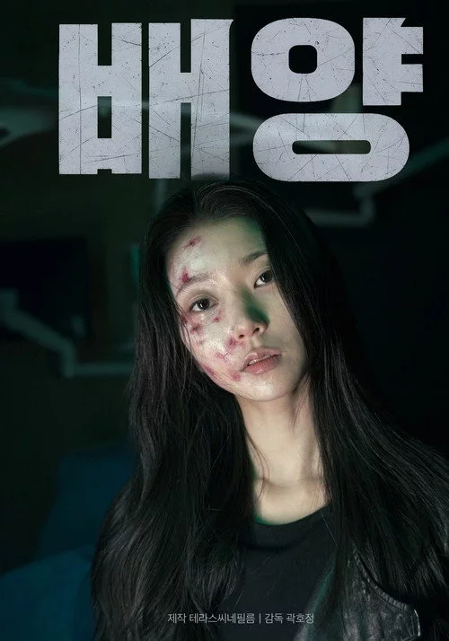 배양