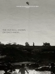 The Old Bull knows, or Once Knew