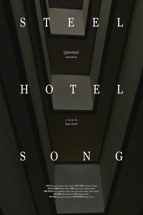 Steel Hotel Song