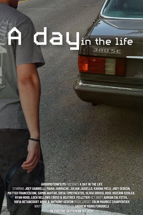 A day in the life