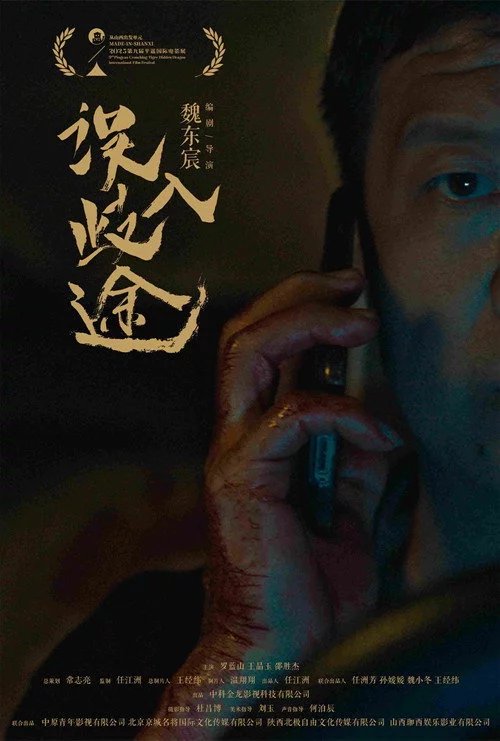 误入歧途