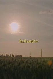 Hélianthe
