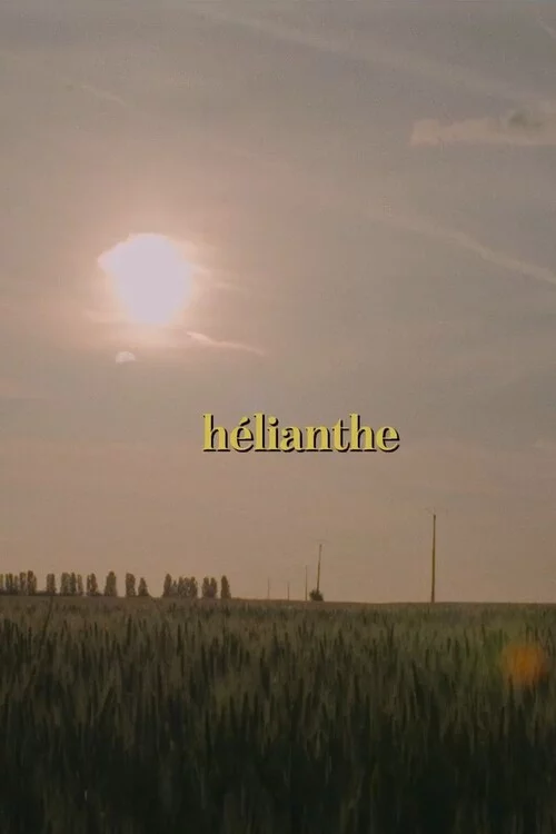 Hélianthe