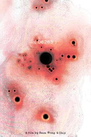 06263